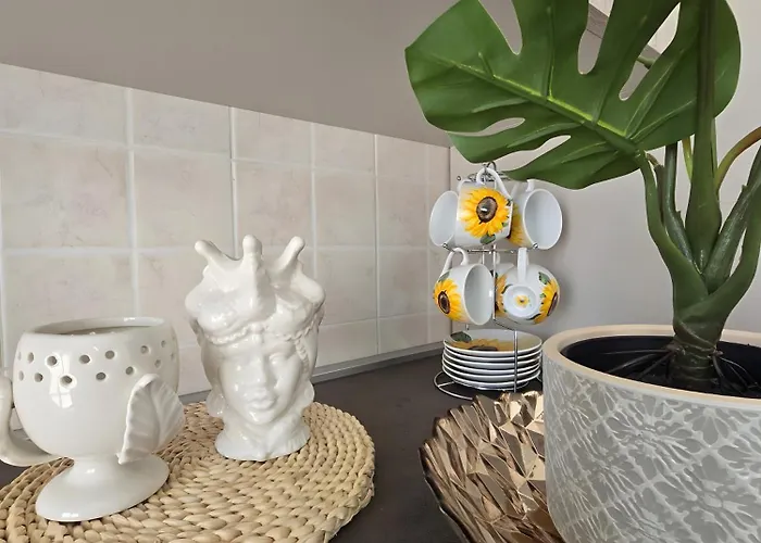 Cj Sea * טראפאני